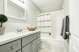 Bathroom Remodel, Jenison, MI